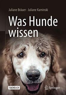 Was hunde wissen - hunde, wissen: