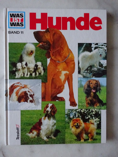 Xxxx was ist - ist,