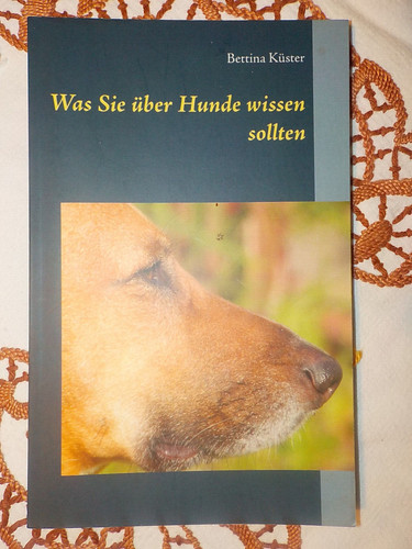 Bettina küster was sie - was, Über