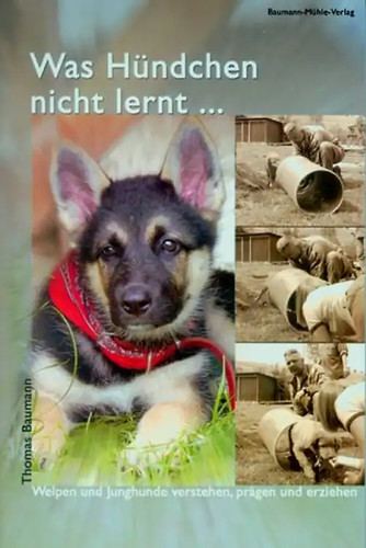 Was hündchen nicht - hündchen, lernt