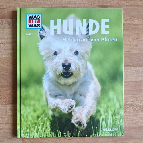 Was ist band - band, hunde