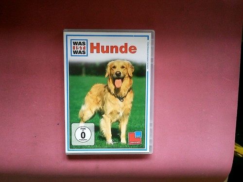 Was ist hunde - hunde,