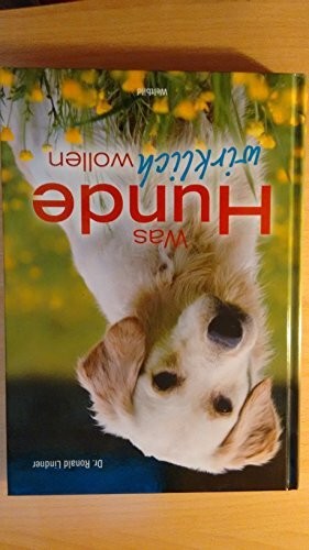 Was hunde wirklich wollen - hunde,