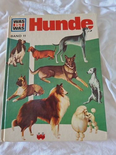 Was ist band - was, und
