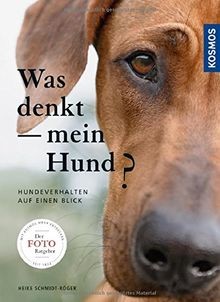 Was denkt mein - , hund