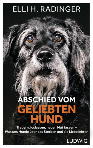 Abschied vom geliebten hund - abschied,
