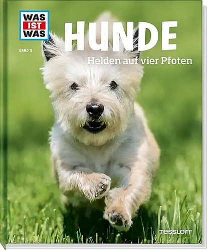 Was ist band hunde - ist,