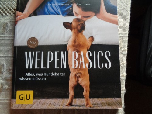 Welpen basics alles - welpen, was