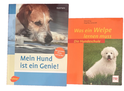 Was ein welpe lernen - welpe,