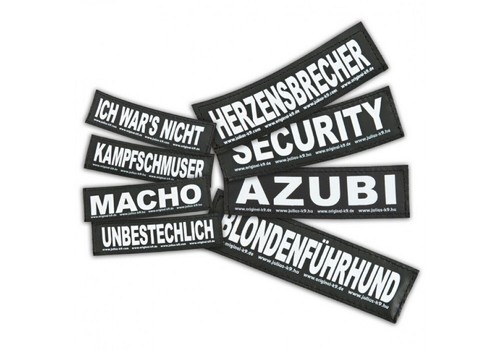 Klettlogo gross für julius - klettlogo,