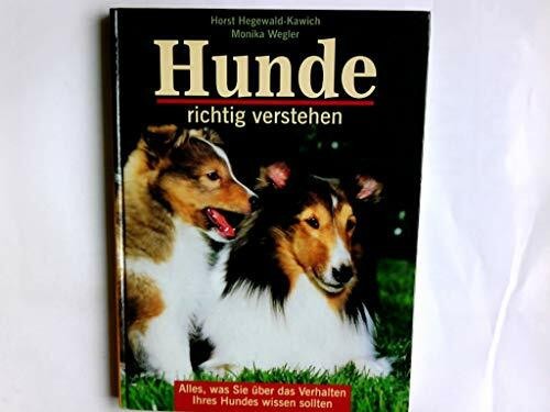 Hunde richtig verstehen