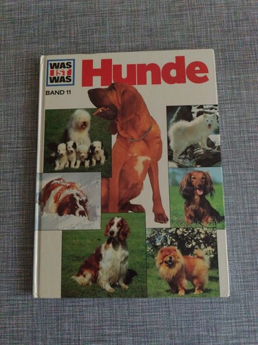 Was ist band - 11, 1982