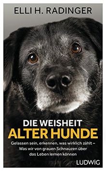 Die weisheit alter - die, hunde