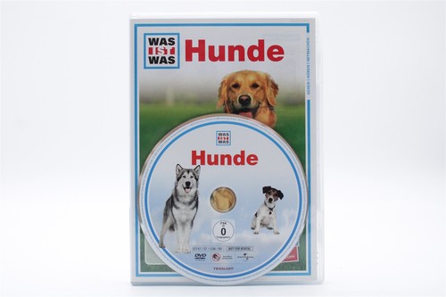 Was ist hunde - ist, film