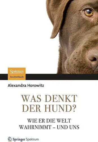 Was denkt der hund - hund?, zustand