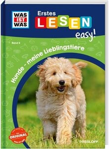 Was ist erstes lesen - was,