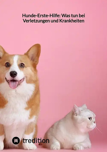 Hunde erste hilfe was tun - tun, bei